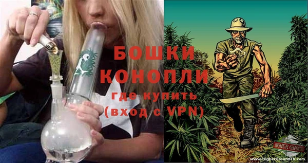 ПСИЛОЦИБИНОВЫЕ ГРИБЫ Нягань