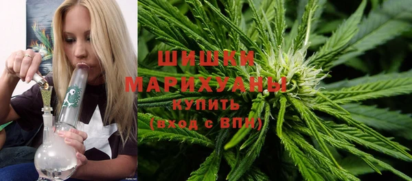 прущая мука Новодвинск