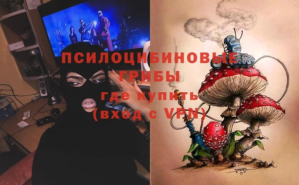 ПСИЛОЦИБИНОВЫЕ ГРИБЫ Нягань