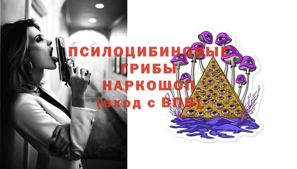 ПСИЛОЦИБИНОВЫЕ ГРИБЫ Нягань