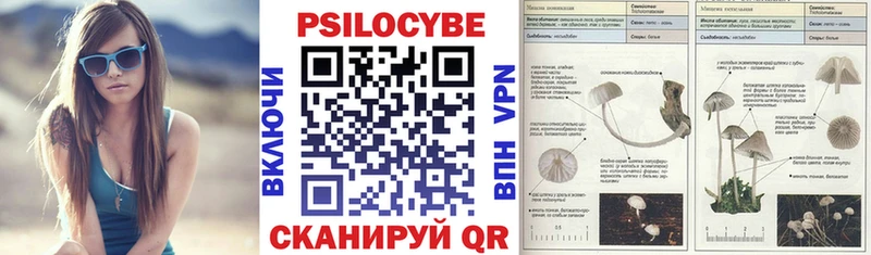 mega ССЫЛКА  Никольское  Галлюциногенные грибы мицелий  как найти закладки 
