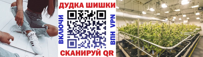 Бошки Шишки Ganja  Никольское 